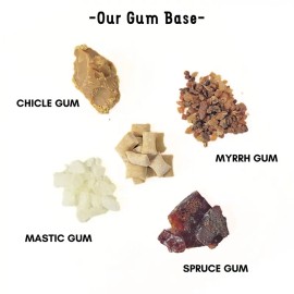 BERRY UNDERBRUSH Remineralizing Chewing Gum with Nano-Hydroxyapatite – 30-Day Natural Gum for Teeth & Gum Protection