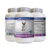 PET SUPPLEMENTS Digestive Dog Treats - PROBIOTICS for Dogs -