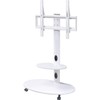 Proman Porducts ST17177 Venus Mobile TV Stand for Television up