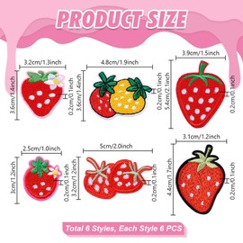PH PandaHall 36pcs Strawberry Iron on Patches Fruit Sew on Patches, 6 Styles Cute Red Embroidered Applique Patches Sewing Patches Decorative for Clothes Socks Jacket Jeans Backpack Hat