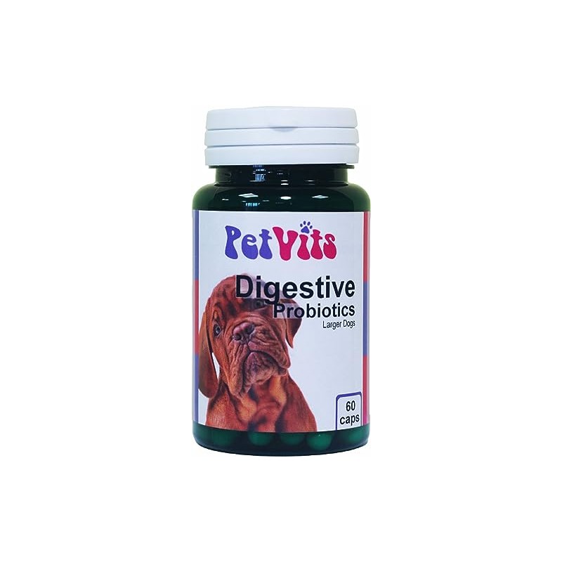 PetVits Digestive Probiotics for Large Dogs : Digestive Health Pet