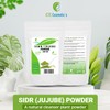 SIDR (JUJUBE) POWDER 100/200/300 gr - A natural cleanser plant