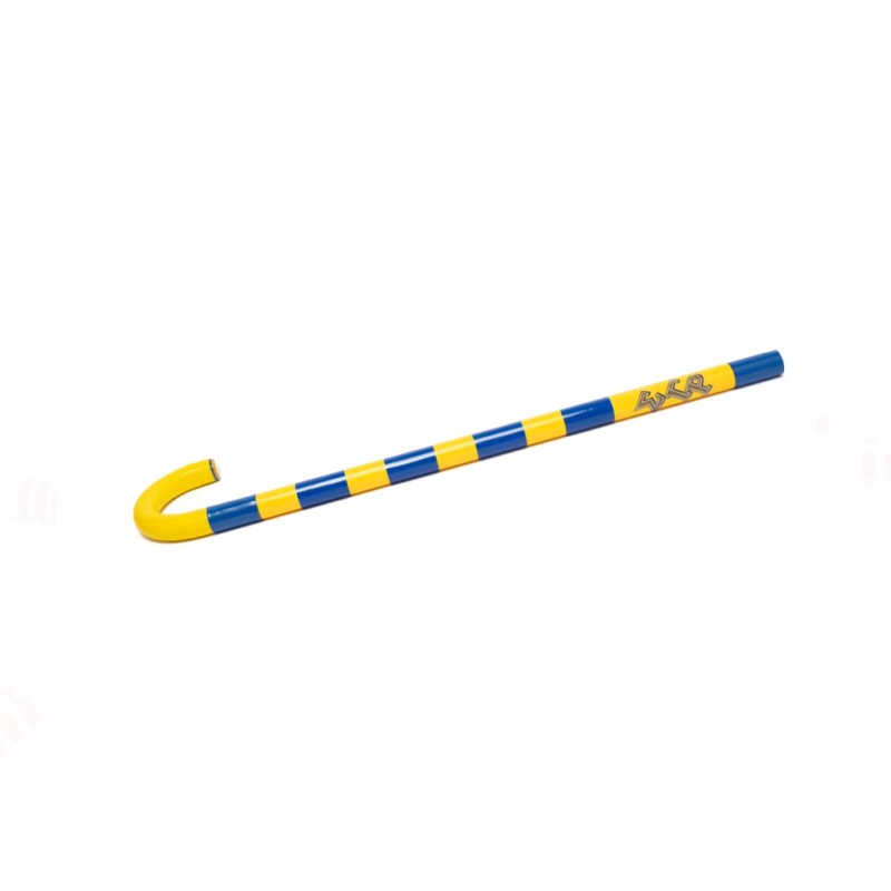Sigma Gamma Rho Cane - Wide Block Small SGRho