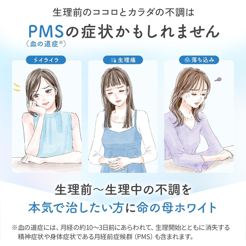 【第2類医薬品】命の母ホワイト 360錠