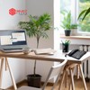 Select Sound | Teléfono Alámbrico con Numeros Grandes e identificador