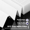 PETOX 4 Pack 116130 HEPA Replacement Filter H for Winix