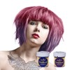 La Riche Directions Hair Colour Set (2 x 88 ml)