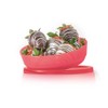 Tupperware Recipiente Contenedor para Guardar Alimentos 200ml