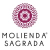 Molienda Sagrada Té Verde Matcha Puro Orgánico 100 Gr