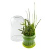 Kuhn Rikon 23050 Herb Storage Container-23050 Herb Storage Container, Glass,