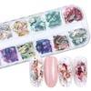 Nail Art Shell Flakes,1Box 12Grids Irregular Abalone Seashell Slices for