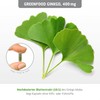 Greenfield – Ginkgo Biloba, 100% Vegan Leaf Extract 450mg, 120