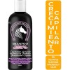 Shampoo Cola De Caballo Y Keratina Crecimiento Capilar 500ml Envió