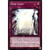 True Light - SDWD-EN028 - Common - 1st Edition