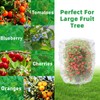 Evoio Fruit Tree Netting Bags with Drawstring, 4PCS Blueberry Bush