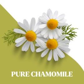 Snacktery Chamomile Tea Bags - Made with 100% Pure Chamomile Flowers (Manzanilla Tea) - Natural Caffeine-Free Herbal Tea Bags - 20 Tea Bags