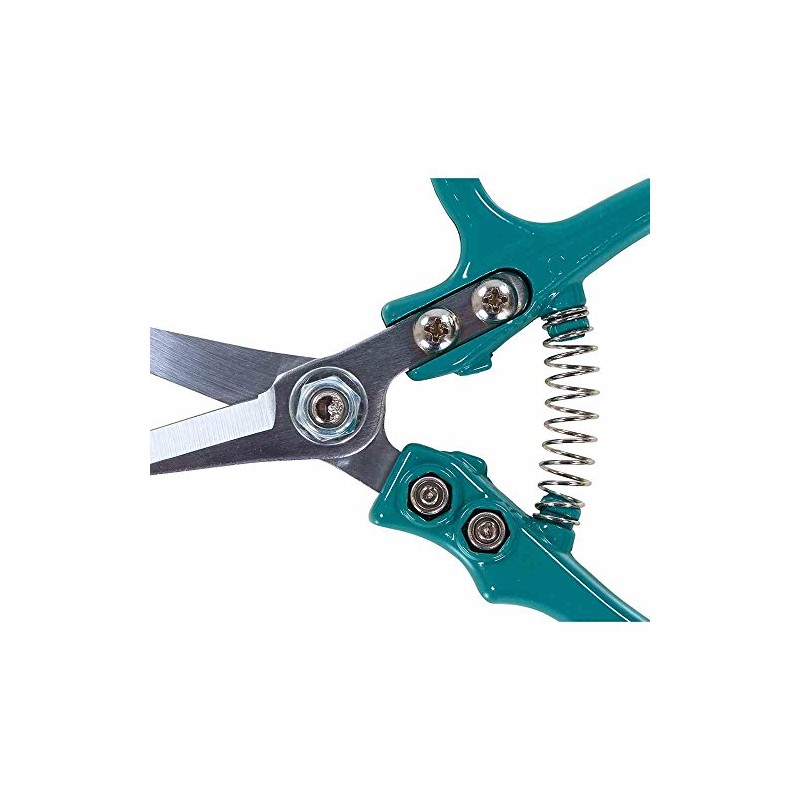 Siena Garden CG2090 Florists Scissors, Turquoise, 16.9 x 8.3 x