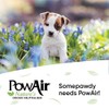 PowAir All-Natural Odor Neutralizer Spray (Tropical Breeze, 8 oz)