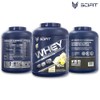 Scifit Protena Whey 24 g de Protena 100 Whey Protein