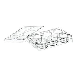 Greiner Bio-One 657160 CELLSTAR Cell Culture Multiwell Plate with Lid, TC Treated, Sterile, Flat Bottom, Chimney Style, 6 Well (Pack of 100)