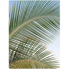 Fine Art Canvas Tropical II Canvas Wall Decor by Artist Dennis Frates for Living Room, Bedroom, Bathroom, Kitchen, Office, Bar, Dining & Guest Room - Ready to Hang - 24 in x 32 in