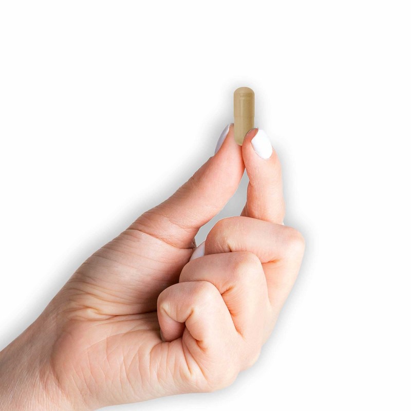 MASON NATURAL Moringa 500 mg - Supports Energy Metabolism and