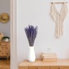 Jutom 12 Pack Total 2280 Stems Dried Lavender Bundle Bulk