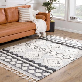Hauteloom Noah Dinganen Living Room, Bedroom Soft Shag Area Rug - High Shaggy Plush Pile - High Low - Southwestern Boho Farmhouse - Beige, Gray, Black, White - 5'3" x 7'