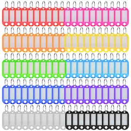 Ailvor Key Fob Labelable, Pack of 100 Key Tags with 20 Extra Labels, Key Fob for Labelling Suitcases, Luggage, Pets, USB Sticks (10 Colours)