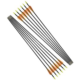 Fiberglass Arrows Archery 28 Inch Target Shooting Practice Safetyglass Recurve Bows Suitable for Youth Children Woman Beginner 6 PCS