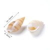 LYFJXX Mixed Shells Ocean Beach Spiral Shells Craft Charms for