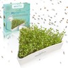 Mental-High Ceramic Cress Bowl with Stainless Steel Strainer - Flower