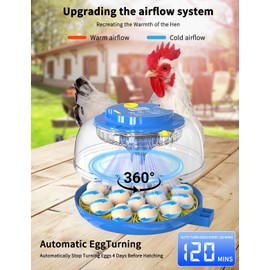 18-Egg 360° Panoramic Egg Incubator with Automatic Egg Turning and Humidity Control- Perfect for Hatching Chickens, Ducks, Quail & Other Birds (Blue)