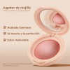 Phofay Rubor Maquillaje Rostro Blush Polvo Color Varios 3g