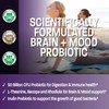 Bronson Bronson Brain + Mood Probiotic 50 Billion CFU Plus