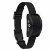 Anti-Bark Dog Training Collar Stop Barking Vibration Rechargeable No Shock Collar