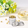 berjalan Pack of 6 Mini Tea Canisters with Airtight Lids,