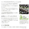 HERBANICA Herbanica Hair Care Conditioner 500 Glow Treatment