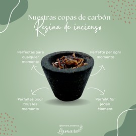 Charcoal Cups with 5g Incense Resin - Holy Secret - Heavy Cleaning & Discharge, Nag Champa, Unlock, Palo Santo & White Sage - 4 Pack of 6