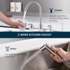 DAYONE Kitchen Faucet with Side Sprayer 2 Handle Brushed Nickel,
