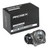 RIDEX Wheel Brake Cylinder 277W0068 Rear Double-Sided Rear for Citroën