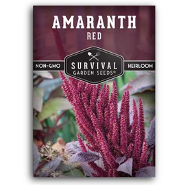 Survival Garden Seeds - 1 Pack Red Amaranth Seed for Planting with Instructions to Grow Giant Burgundy Flowering Plants in Your Home Vegetable Garden - Non-GMO Heirloom Pseudograin Variety