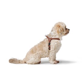 HUNTER SOHO MINI Dog Harness, Colour: Cognac, Cowhide Leather, Soft and Supple, Gentle on Fur, Lightweight, for Small Dogs and Puppies, Made in Germany, Size: XS