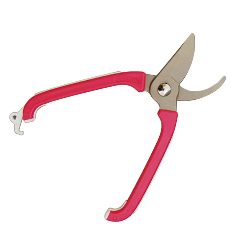 miki Starboard and village Garden Oval Itâ € TMs Sakura
