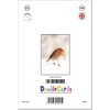 doodlecards Blank Christmas Card Robin on Snow Medium Size Christmas