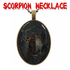 Unbranded Victorian Scorpion Necklace Gothic Jewelry Pendant Vintage Taxidermy Gifts