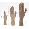 Paintersisters Link hand, 18 cm, right, wooden hand, movable, model