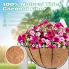 Y&M 16 Inch Pre-Formed Half Round Coco Fiber Hanging Basket