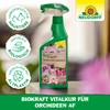 Neudorff Biokraft Vitalkur für Orchideen (Ready to Use) 500 ml