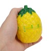 Kitchen Timer, Lovely Pineapple Kitchen Timers for Cooking Wind up